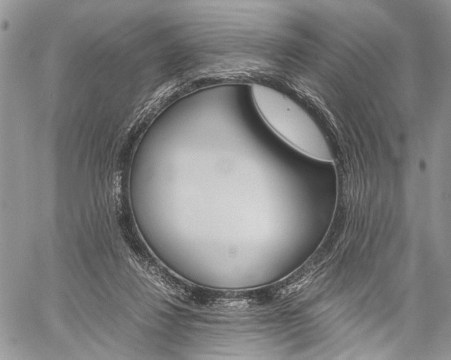 X0000059800260200510210904