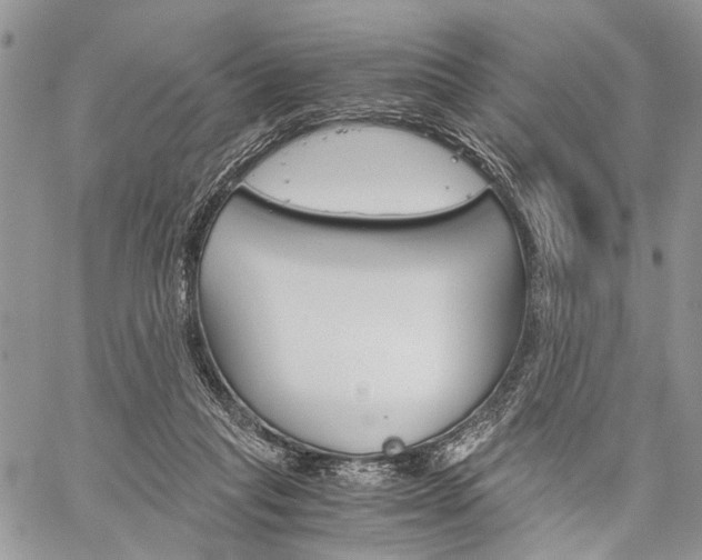 X0000059800261200510210904