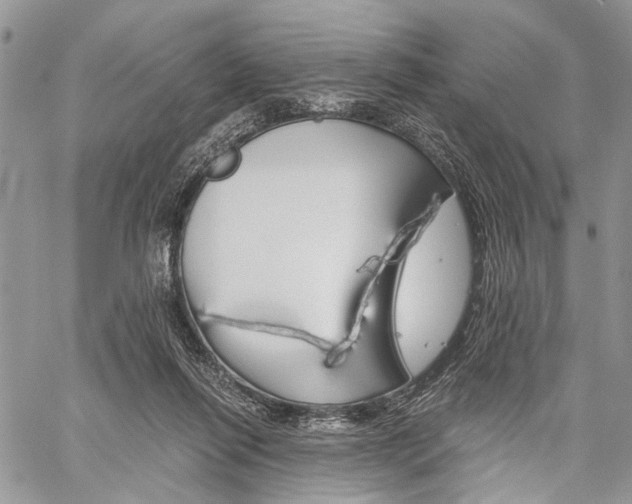 X0000059800262200510210904