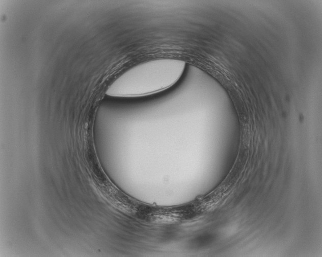 X0000059800263200510210904