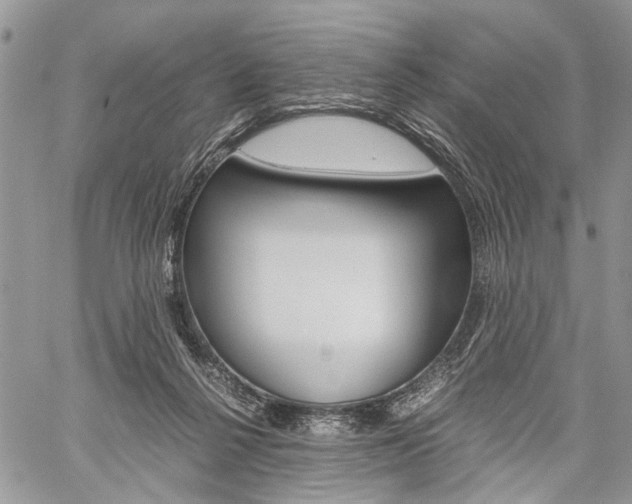 X0000059800264200510210904