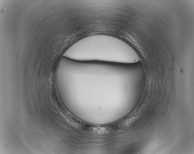 X0000059800265200510210904