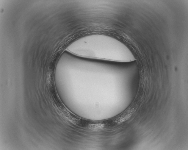 X0000059800266200510210904