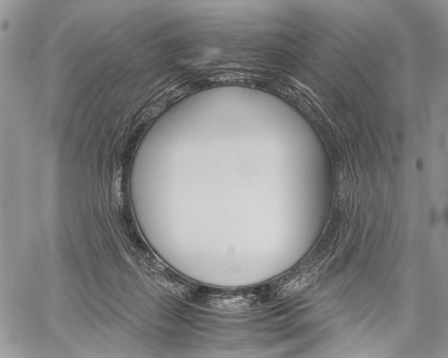 X0000059800267200510210904