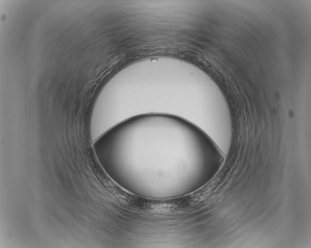 X0000059800268200510210904