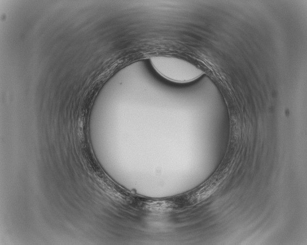 X0000059800269200510210904