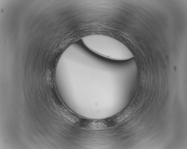 X0000059800270200510210904