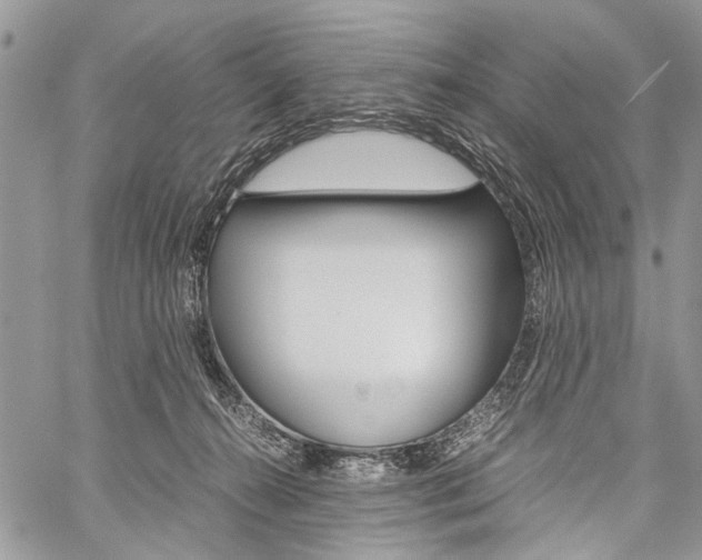 X0000059800272200510210904