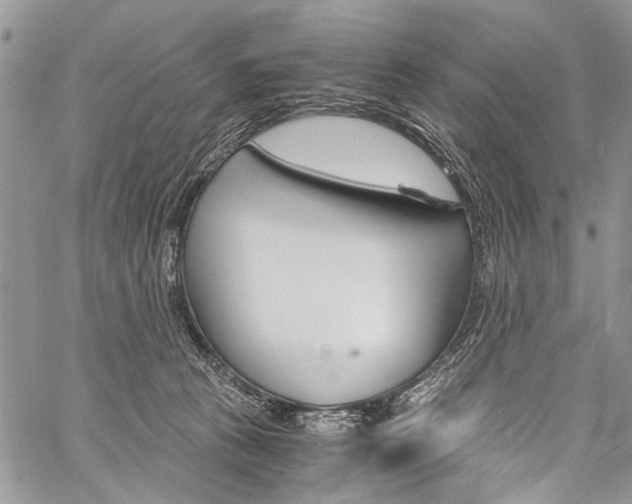 X0000059800273200510210904