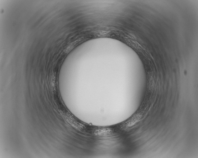 X0000059800274200510210904