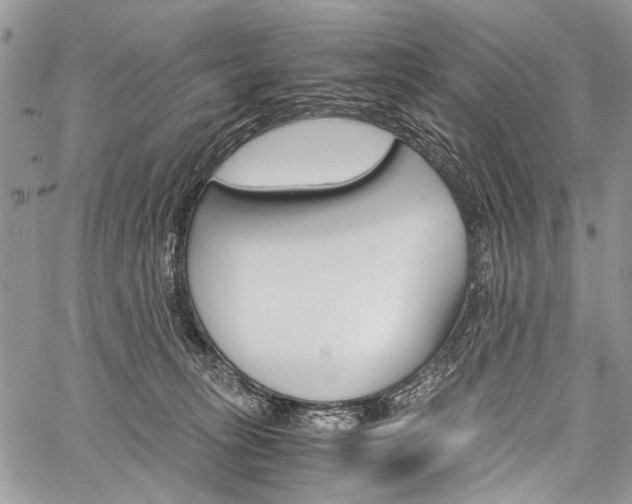 X0000059800275200510210904