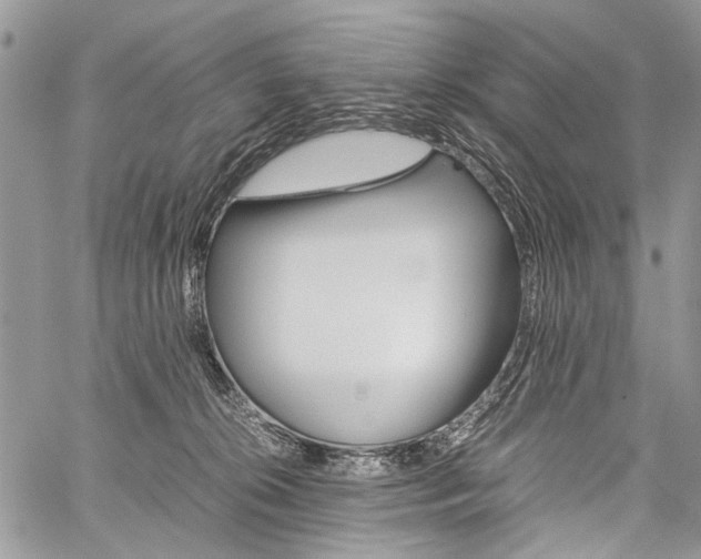 X0000059800276200510210904