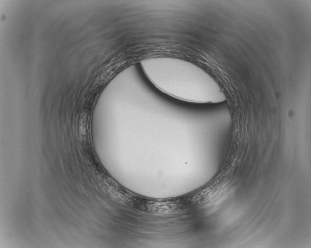 X0000059800277200510210904