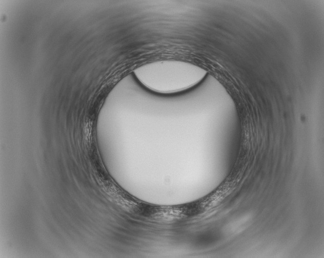 X0000059800278200510210904