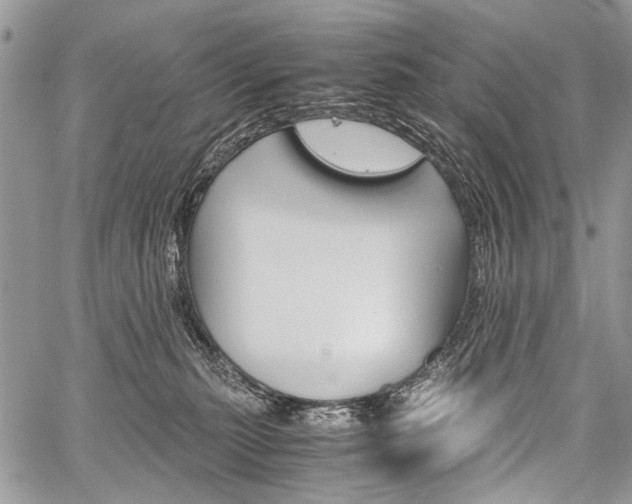 X0000059800279200510210904