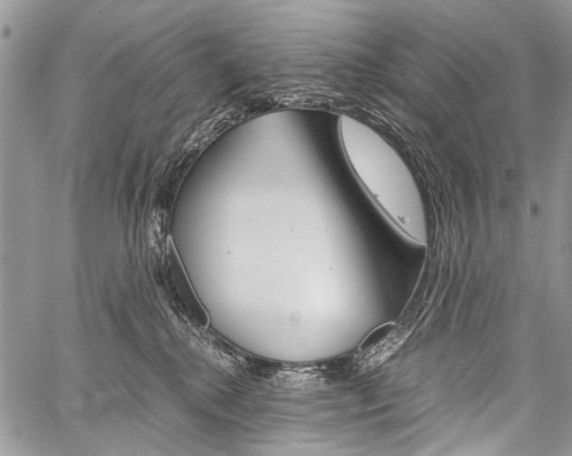 X0000059800280200510210904