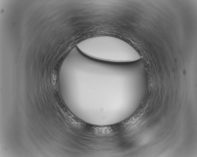 X0000059800281200510210904