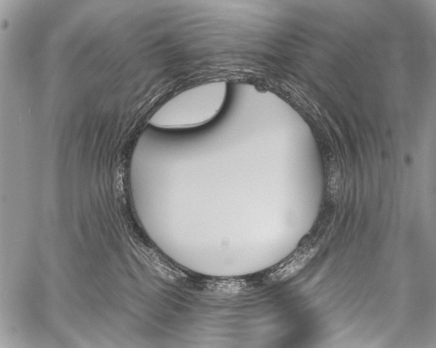 X0000059800282200510210904