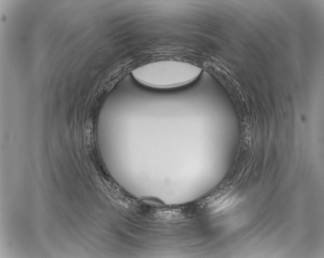 X0000059800283200510210904