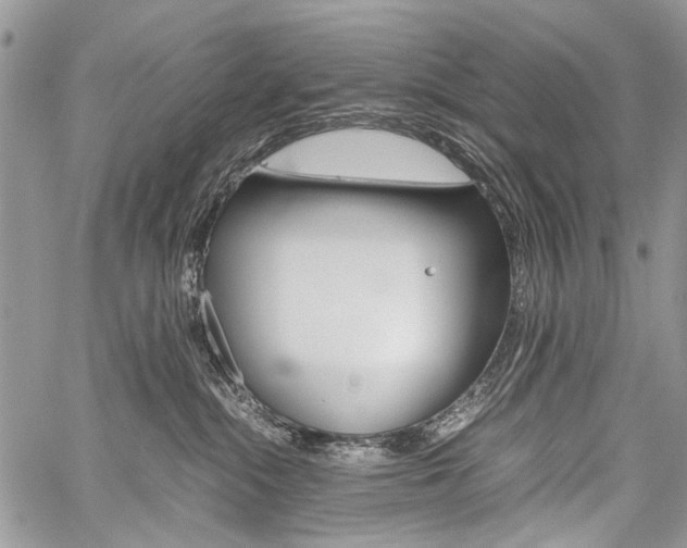 X0000059800284200510210904