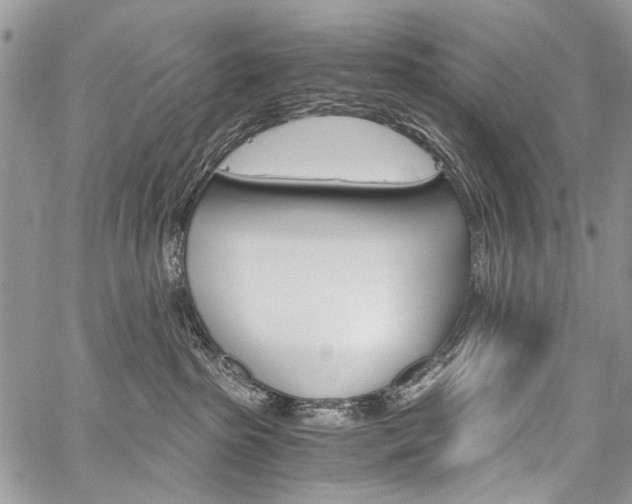 X0000059800285200510210904