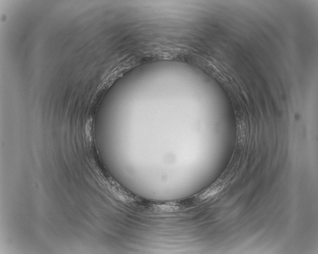 X0000059800286200510210904