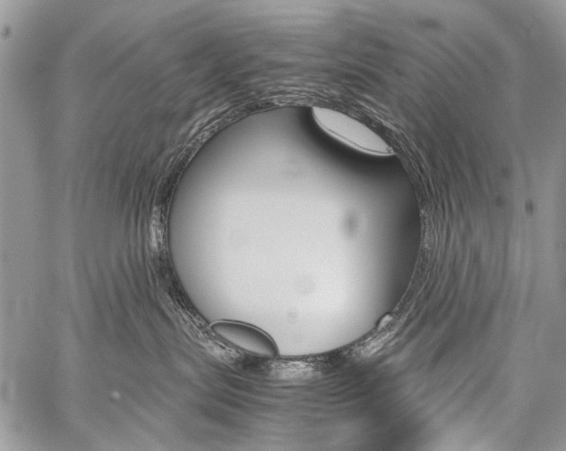 X0000059800287200510210904