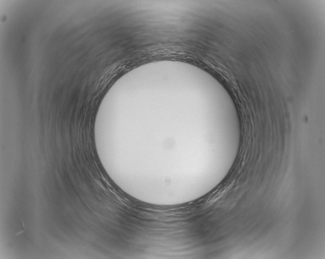 X0000059800288200510210904