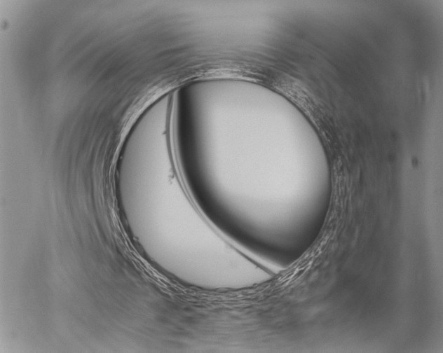 X0000059800289200510210904