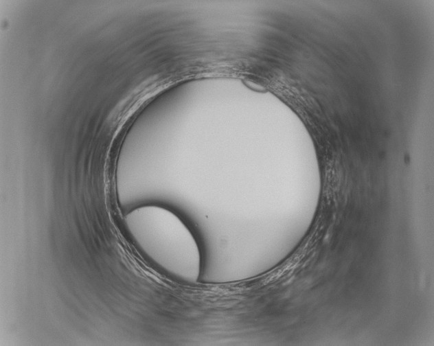 X0000059800290200510210904