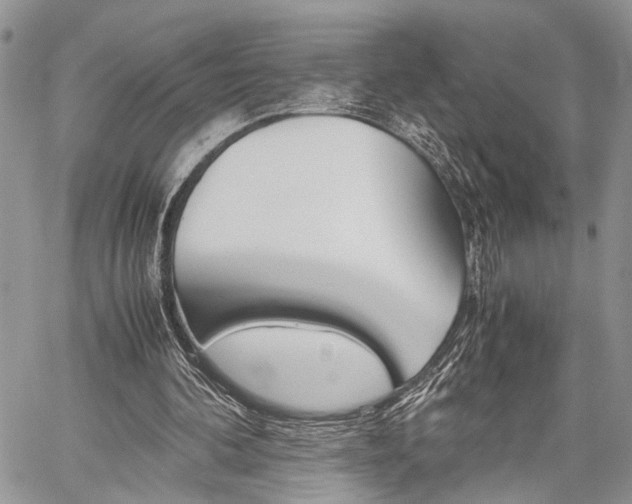 X0000059800292200510210904