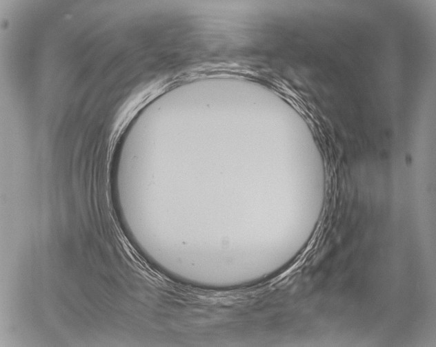 X0000059800293200510210904