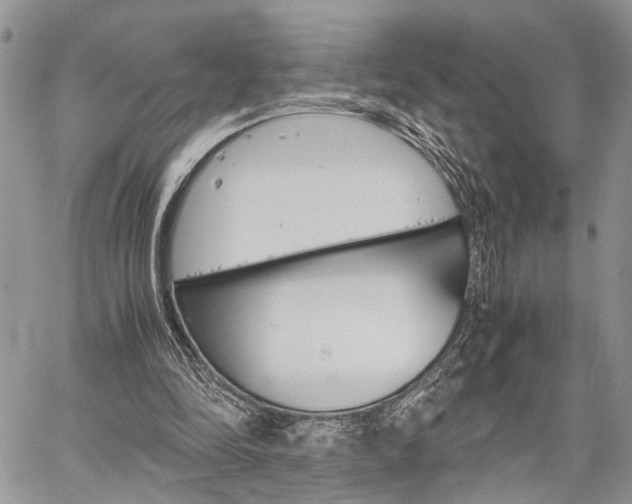 X0000059800294200510210904