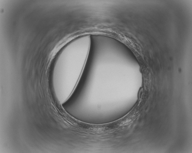 X0000059800295200510210904