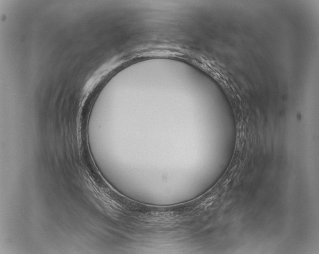 X0000059800296200510210904