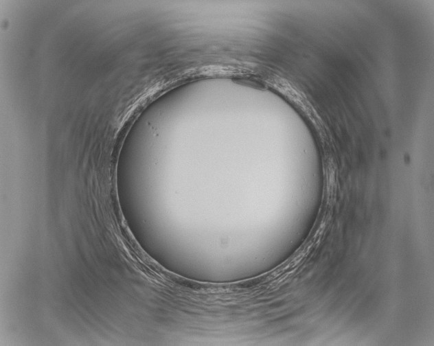 X0000059800297200510210904