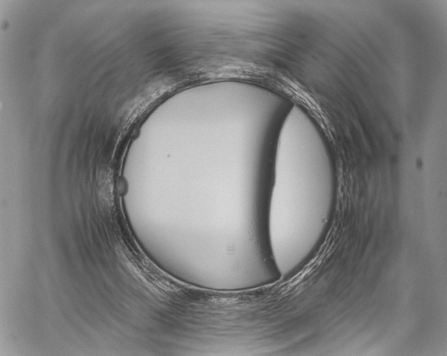 X0000059800298200510210904