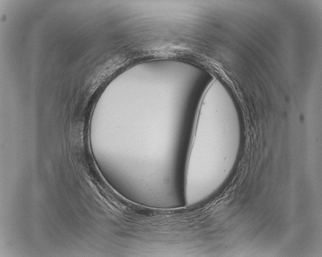 X0000059800299200510210904