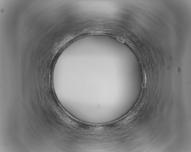 X0000059800301200510210903