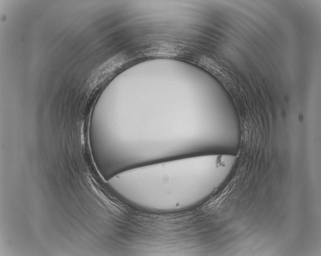 X0000059800302200510210903