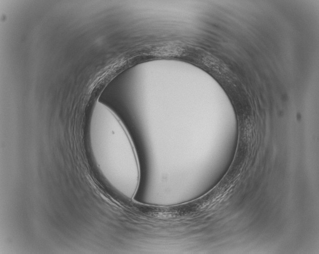 X0000059800303200510210903