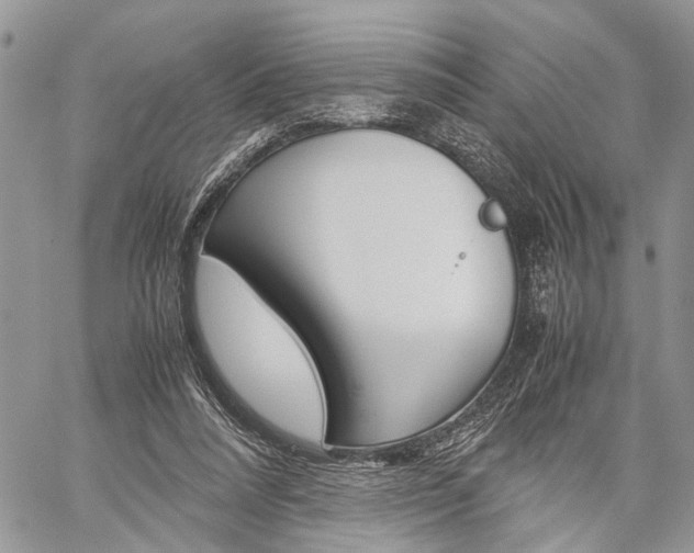 X0000059800304200510210903