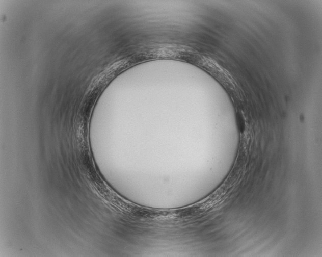 X0000059800306200510210903