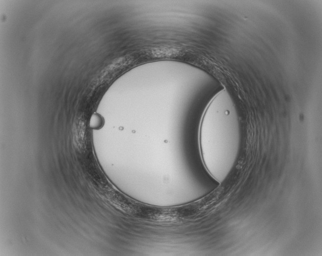 X0000059800308200510210903