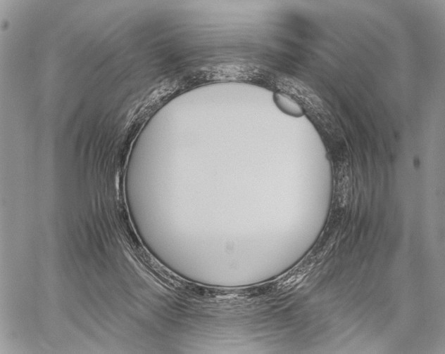 X0000059800310200510210903