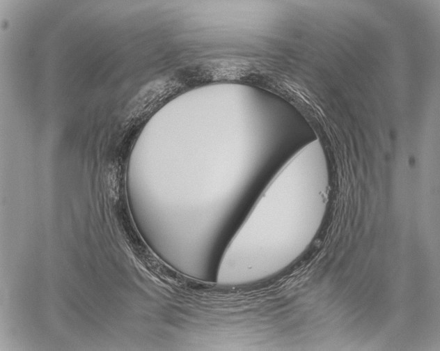 X0000059800311200510210903