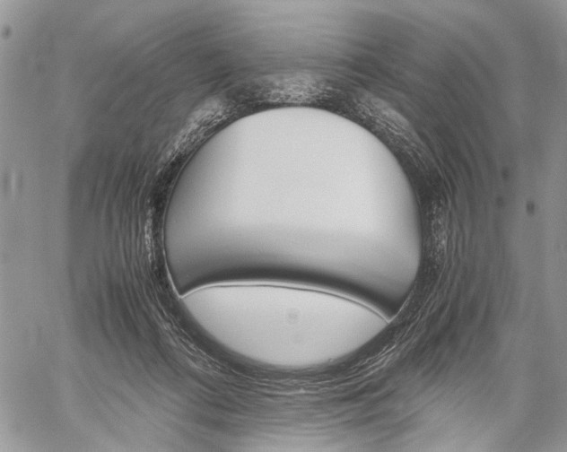 X0000059800312200510210903