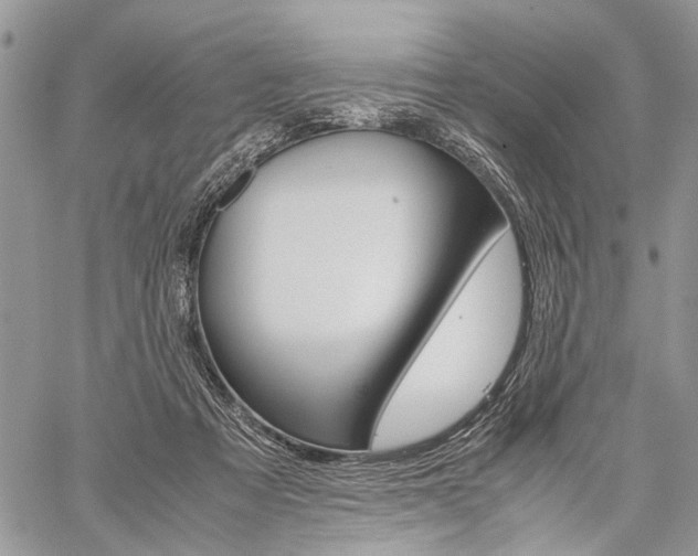 X0000059800313200510210903