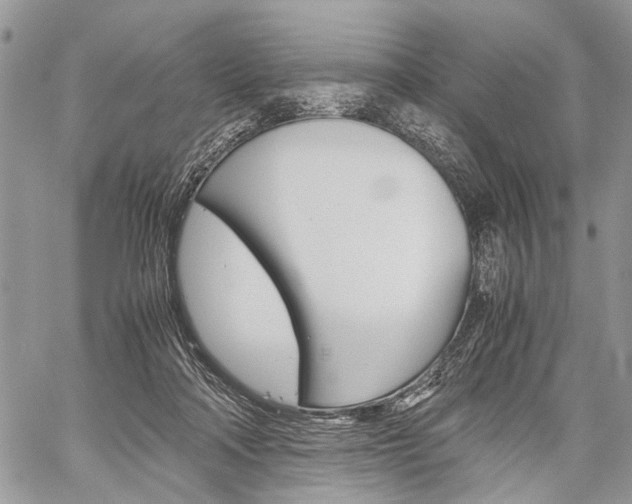 X0000059800314200510210903