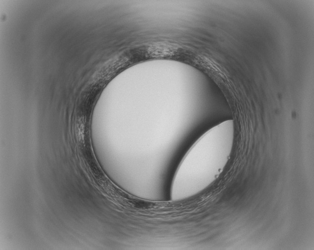 X0000059800315200510210903